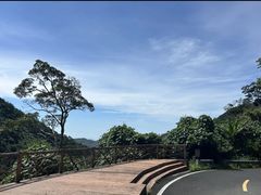 -海南热带雨林国家公园吊罗山景区