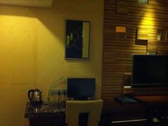 电视-岳阳阿波罗御庭酒店