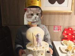 -你好独角兽·蛋糕甜品