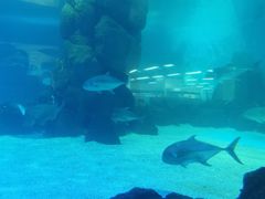 -常州海昌海洋探索馆