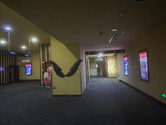 -华谊兄弟影院(IMAX洋桥店)