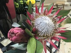 -ChaKo Flora ·茶子花艺 (市北店)