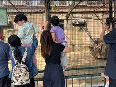 -石家庄市动物园