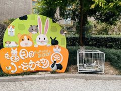 -成都安仁福朋喜来登酒店