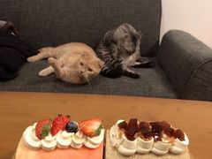 -胖爸爸烘焙工作室(平湖家居店)