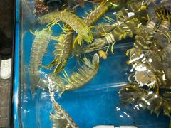 -吴记富苑(朝阳店)