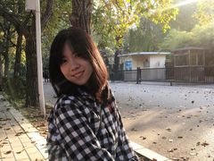 -三里屯东五街银杏大道