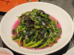 -小厨娘金榜题名(夫子庙秦淮河店)