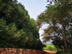 -北京西山国家森林公园