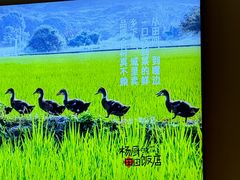 -杨厨的田园饭店(长城路店)