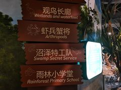 -正佳雨林生态植物园