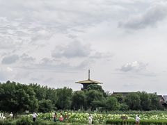 -广富林郊野公园