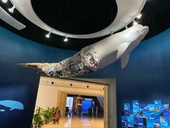 -贝林大翅鲸简餐厅(国家海洋博物馆店)