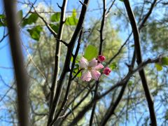 -昆山城市生态森林公园