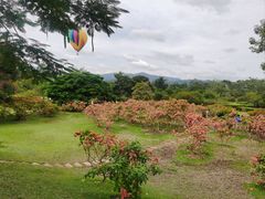-中国科学院西双版纳热带植物园