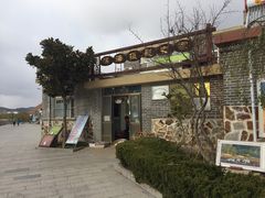 -烟墩角天鹅湖