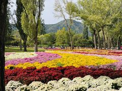 -国家植物园南园