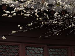 -钱王祠