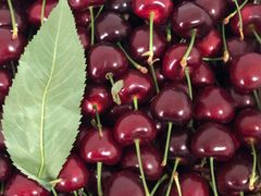 -上海龙吴水胜海发市场