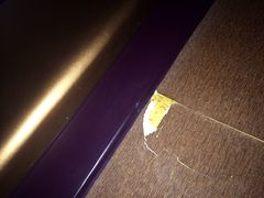iphone_upload_pic-上海华美国际酒店(新天地人民广场店)