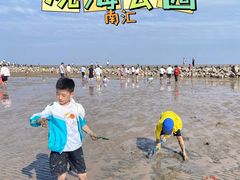 -南汇嘴观海公园