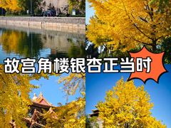 -东华门大街小区