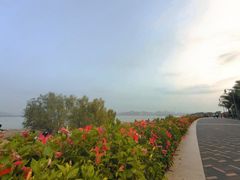 -深圳湾公园(南山区)