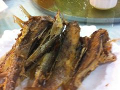干煎小黄鱼-新恬乐大酒家(沧达大厦店)