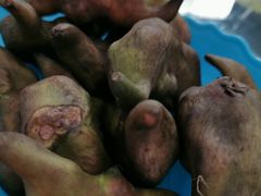 -乡乐园蟹庄·阳澄湖农家乐