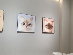 -洗脸猫·洗脸吧