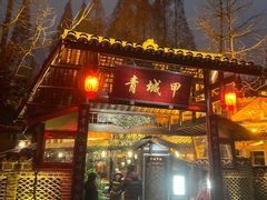 -青城甲(青城山店)