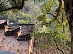 -杨家堂村