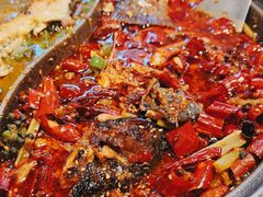 -锦尚阁烤鱼(望京新荟城店)