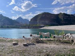 -天鹅湖生态旅游风景区
