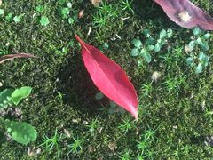 -苏州河梦清园环保主题公园