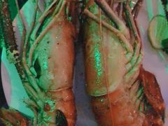 -Green Lobster Waskaduwa Seafood Restaurant
