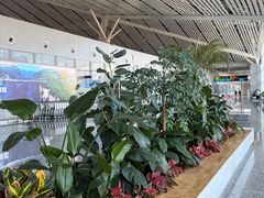 -张家界荷花国际机场