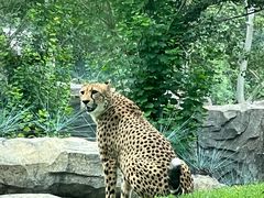 -北京野生动物园