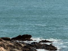 -广东惠东海龟国家级自然保护区