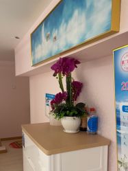 -薇兰专业脱毛连锁机构