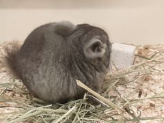 -龙猫仔乐园(惠福东路店)