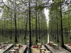 -泗洪洪泽湖湿地景区