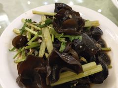 -东国海鲜火锅城(氹仔店)
