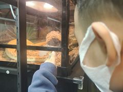 -FAIRYLAND龙族星球主题餐厅(凯丹广场店)