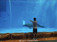 -华夏文旅海洋公园