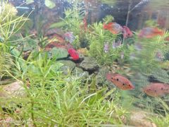 -懒鱼时光馆(沙坪坝店)