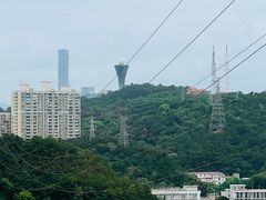 -仙岳公园