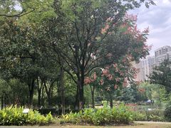 -白塘生态植物园