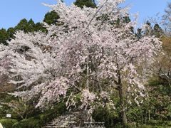 -三千院