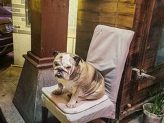 -晓波烧烤(南桥店)